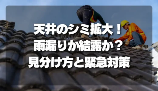 【放置厳禁！】天井のシミ拡大！雨漏りか結露か？プロが教える見分け方と緊急対策
