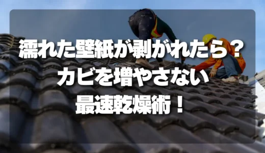 【放置厳禁】濡れた壁紙が剥がれたら？カビを絶対増やさない「最速乾燥術」