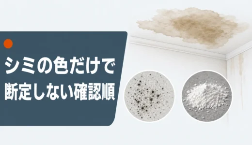 雨漏りのシミは色で分かる？茶色・黒・白の原因候補と安全な確認順
